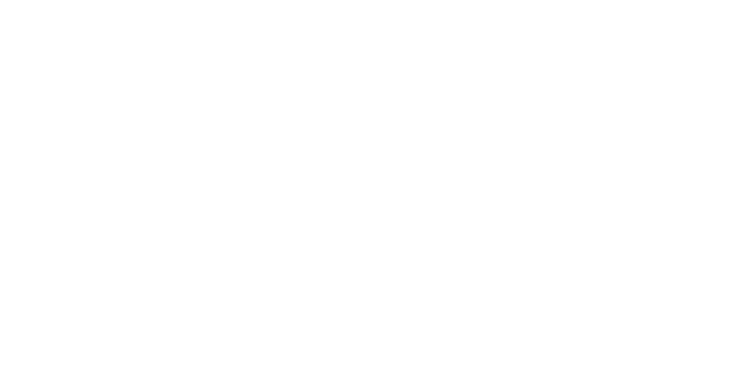 Logo The Human Works goed_Wit