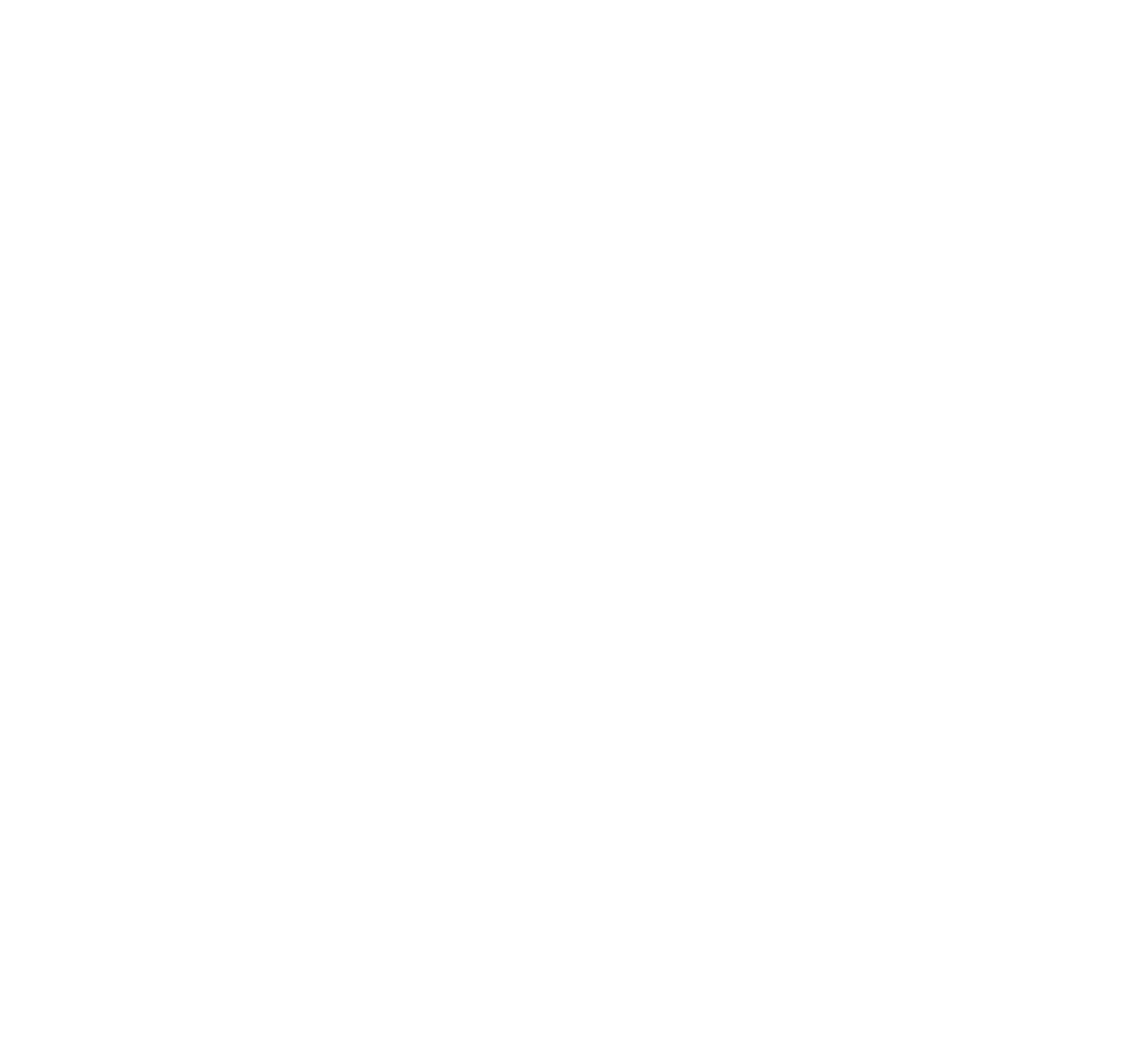 Logo_VVBorn_wit